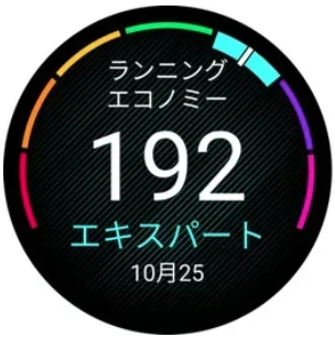ランニングエコノミーの画面イメージ